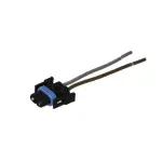 pirnipesa H8/H11 ( juhtmega)